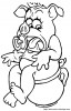 a pig