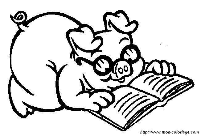 picture reading pig