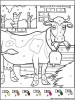 a cow