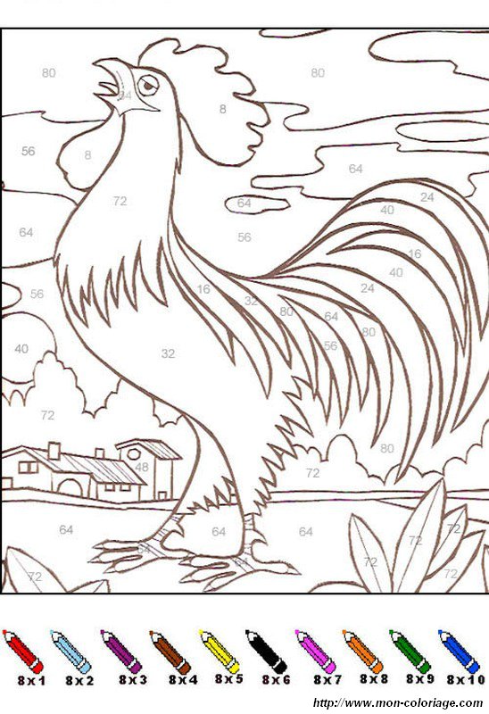 picture the cock