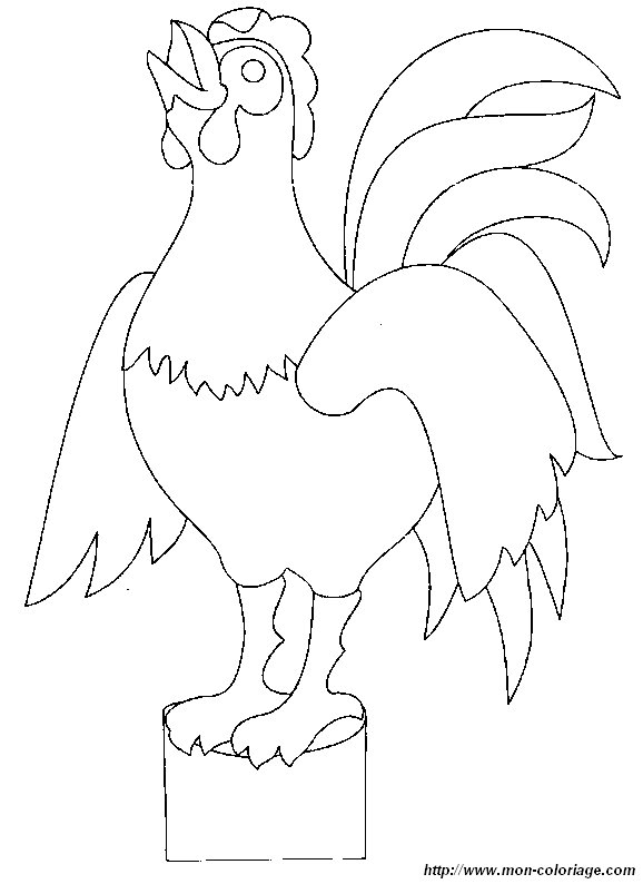 picture a rooster