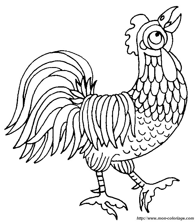 picture a rooster