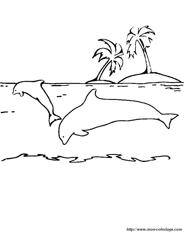 picture desert island and a dolphin