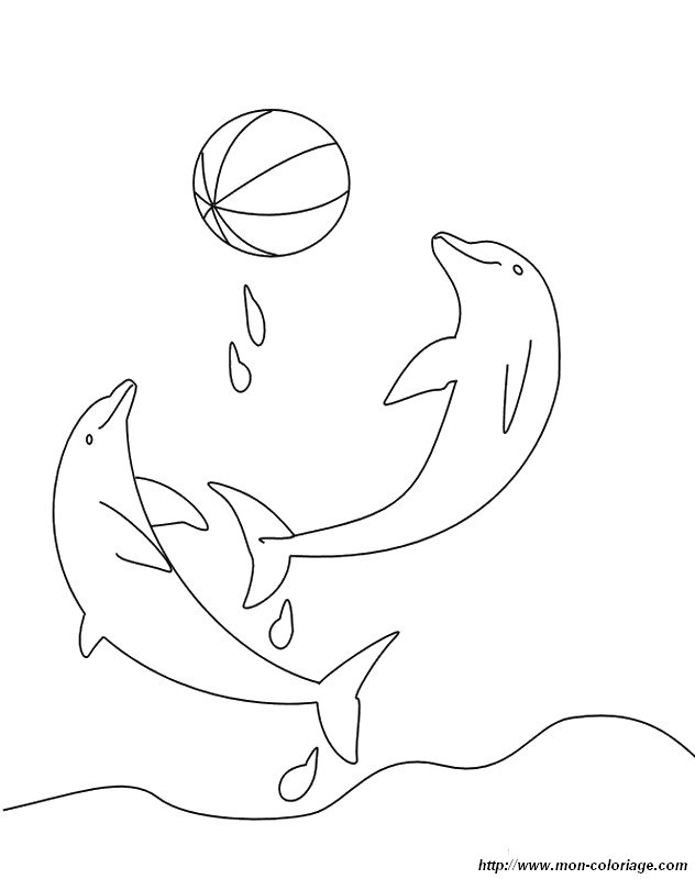 picture dolphins jumping with ball