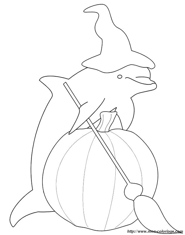 picture halloween and dolphin