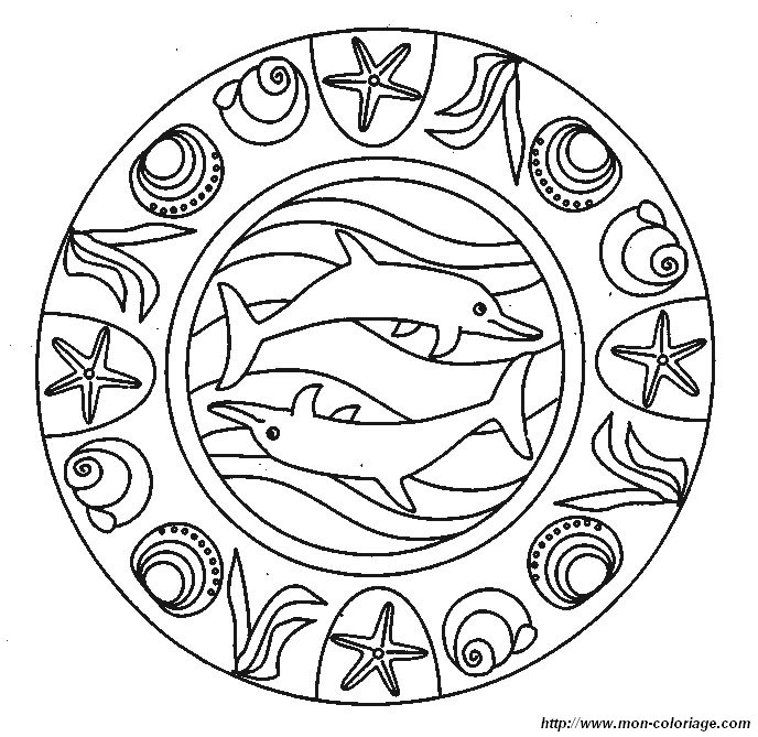 picture mandala dolphin