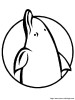 a dolphin logo