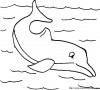 in the sea