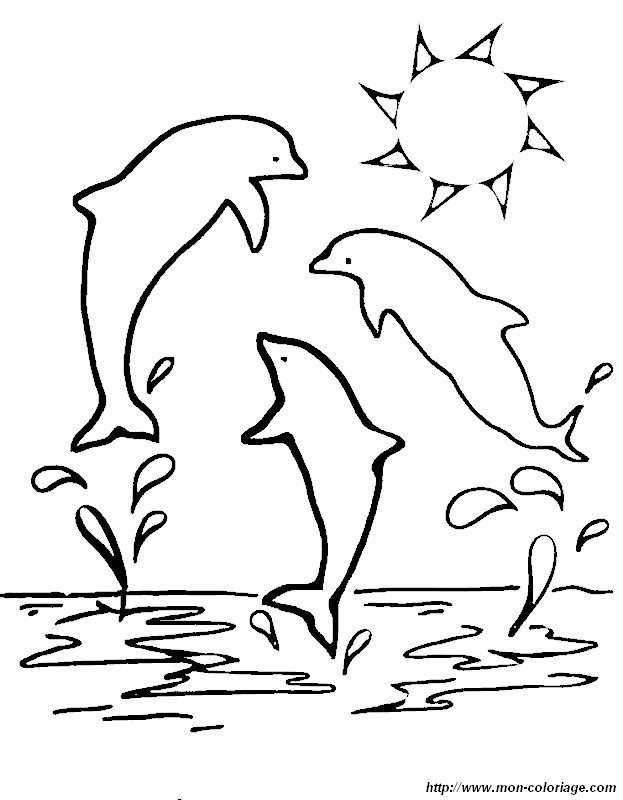 picture three dolphins to color