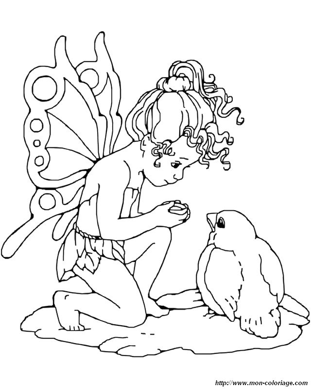 picture bird and little fairy