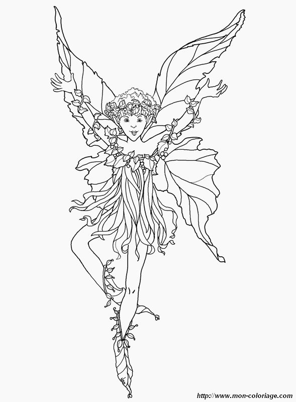picture forest fairy