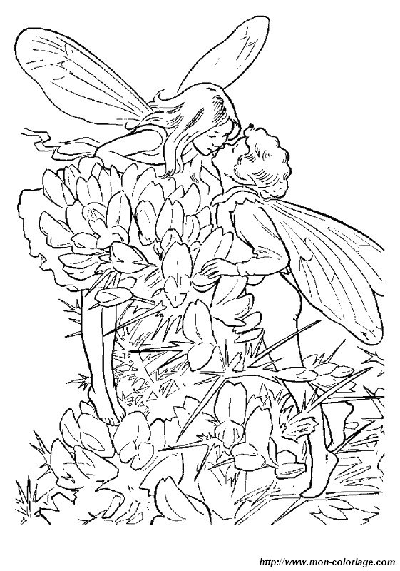 picture kissing fairies