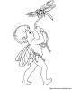 catching a dragonfly