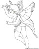 small fairy