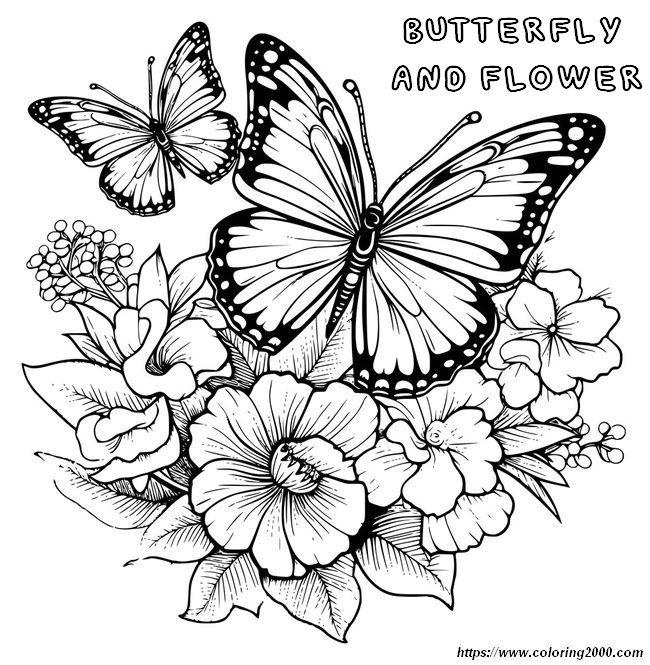 picture Butterflies and flowers are the stars
