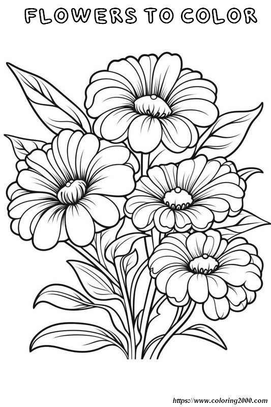 picture Daisies from my garden to color