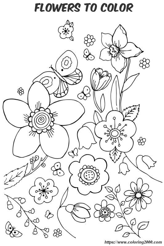 picture Lot of flowers to color for spring