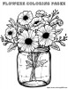 Flowers from our garden in a vase
