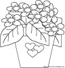 bouquet flowers