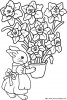 rabbit and flower