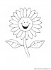 smiling daisy