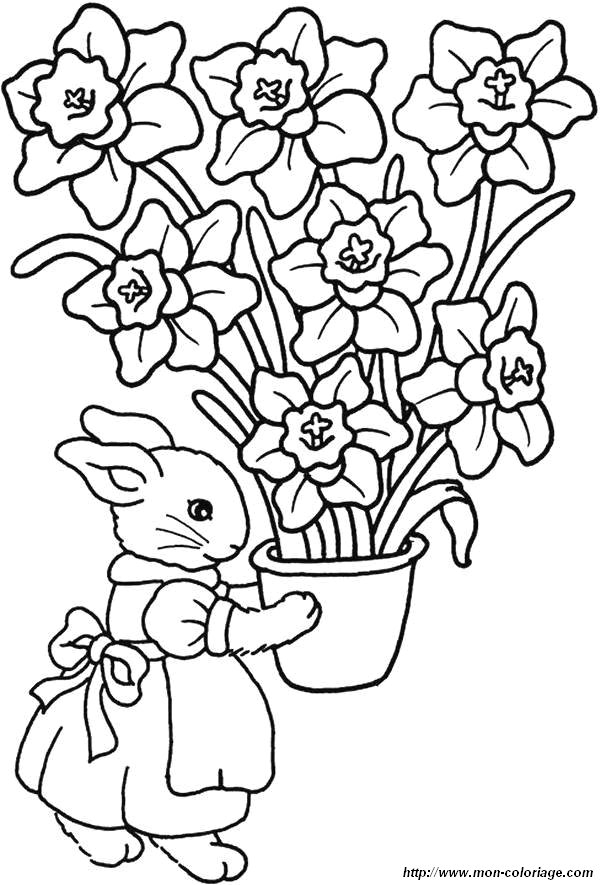 picture rabbit and flower