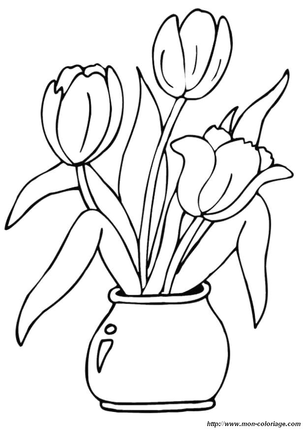 picture tulips
