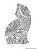 A beautiful cat to color