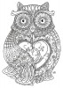 A very detailed owl