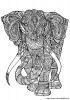 Elephant coloring pages