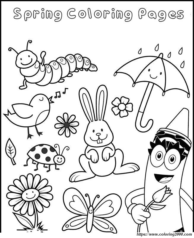 picture Spring always brings a new dawn to the forest after a long winter