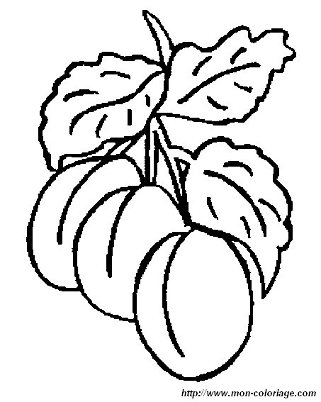 picture fruit 1