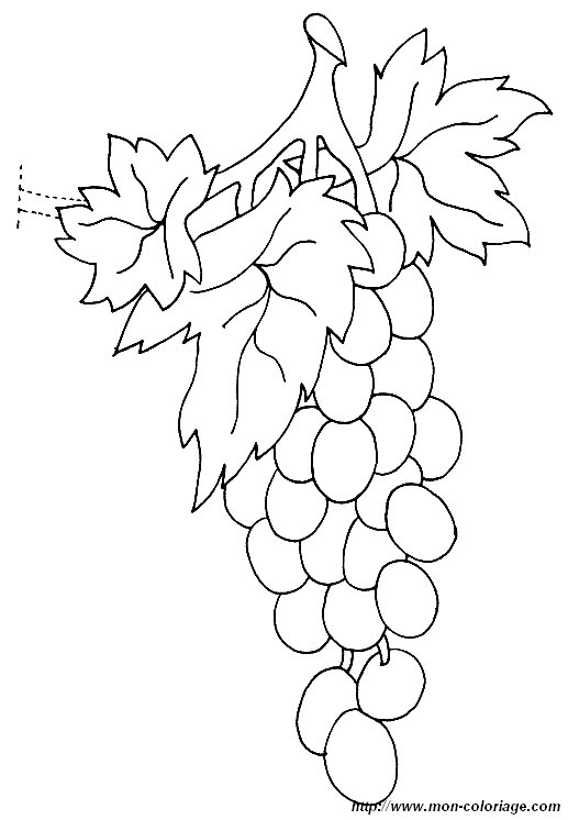 picture grape