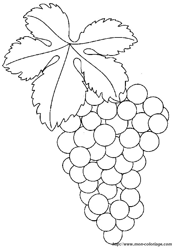 picture grapes