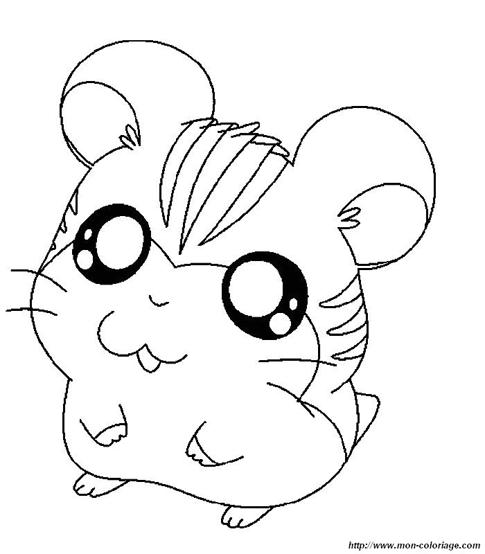 picture hamtaro to color