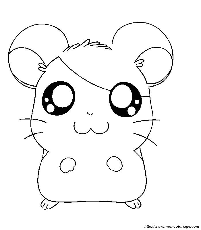 picture hamtaro