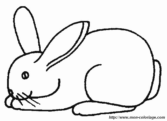 picture 1 rabbit