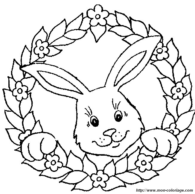 picture rabbit 2