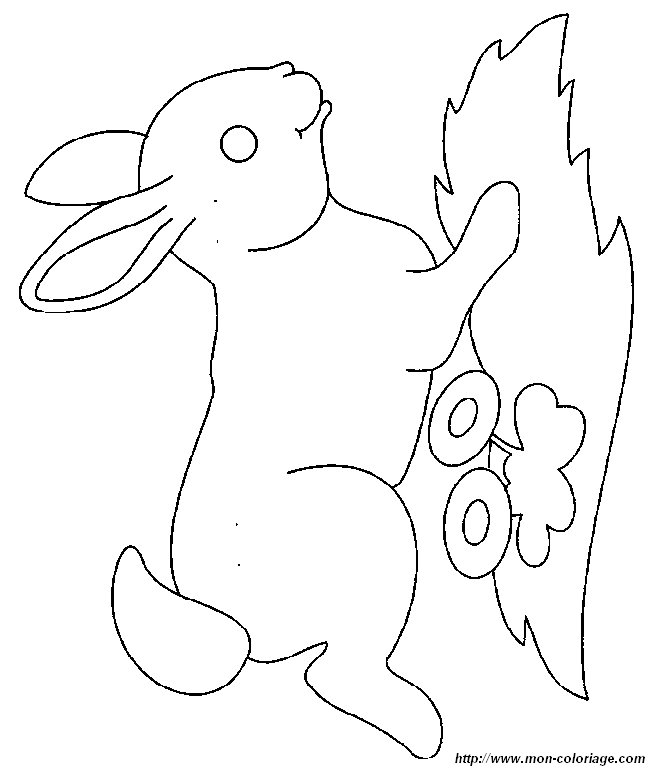 picture running rabbit