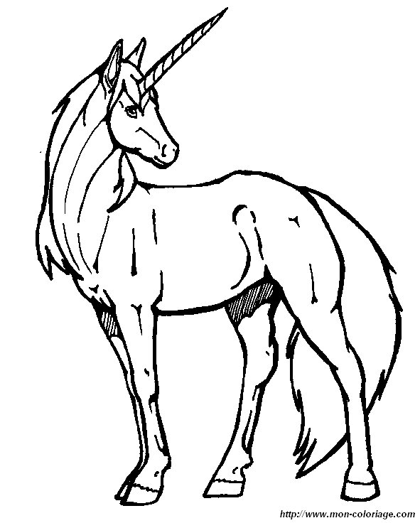 picture 1 unicorn