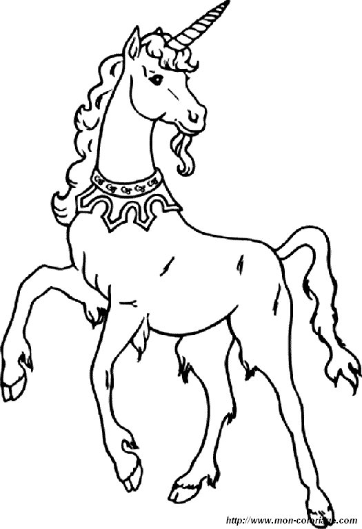 picture 1 unicorn