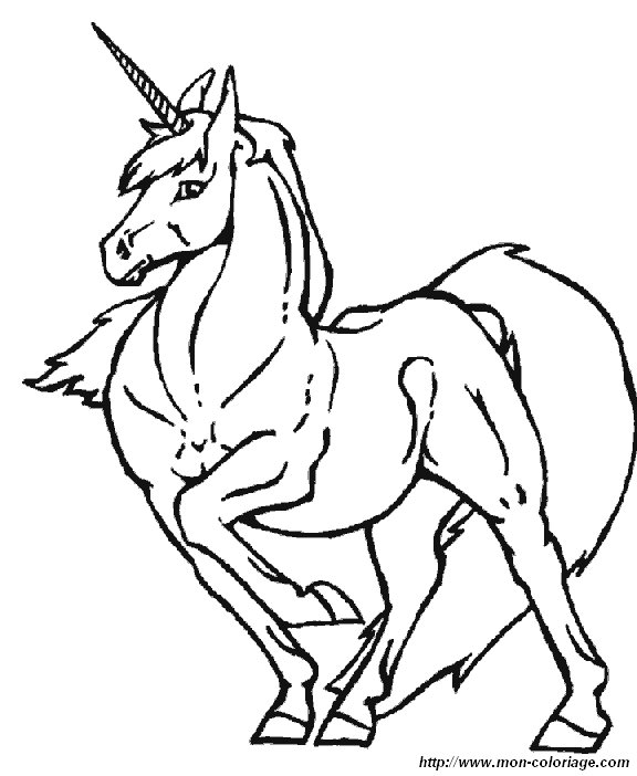 picture unicorn 1
