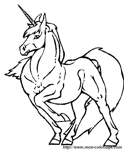 picture unicorn