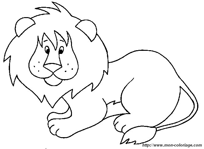 picture lion1