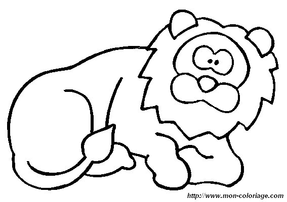 picture lion11