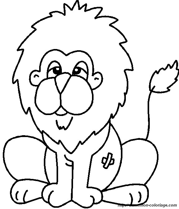 picture lion12