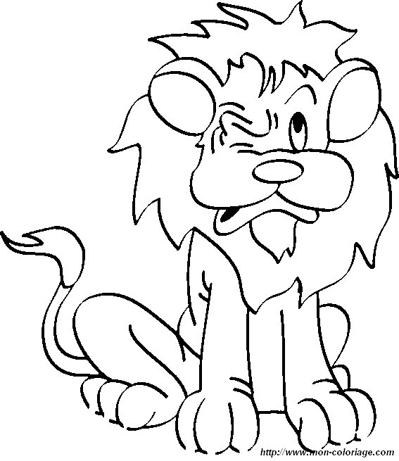 picture lion16