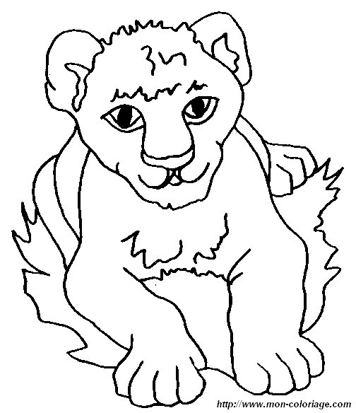 picture lion19