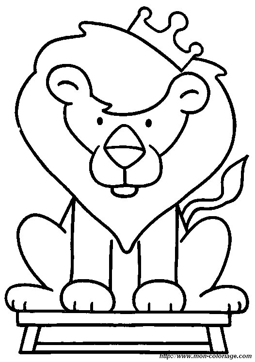 picture lion2