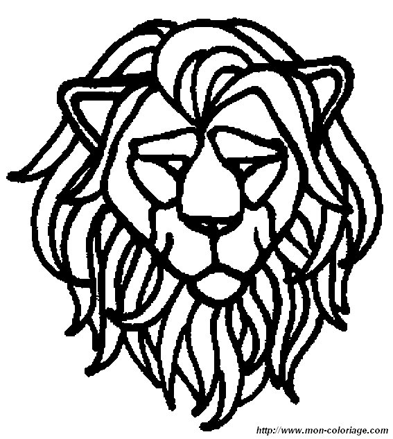 picture lion20